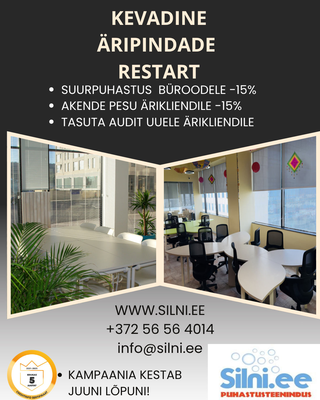 Kevadine äripindade sooduskampaania